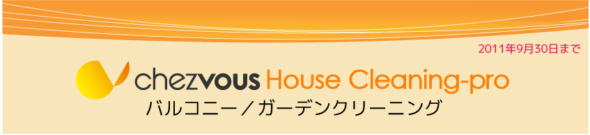 レギュラーハウスクリーニングサービス