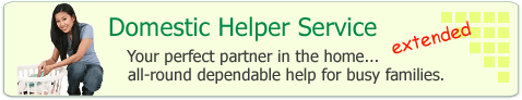 Domestic Helper Service